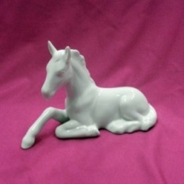 W0705   CAVALLO